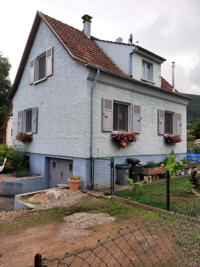 Gite Les Chiwawas D'Alsace Kaysersberg-Vignoble Exterior photo