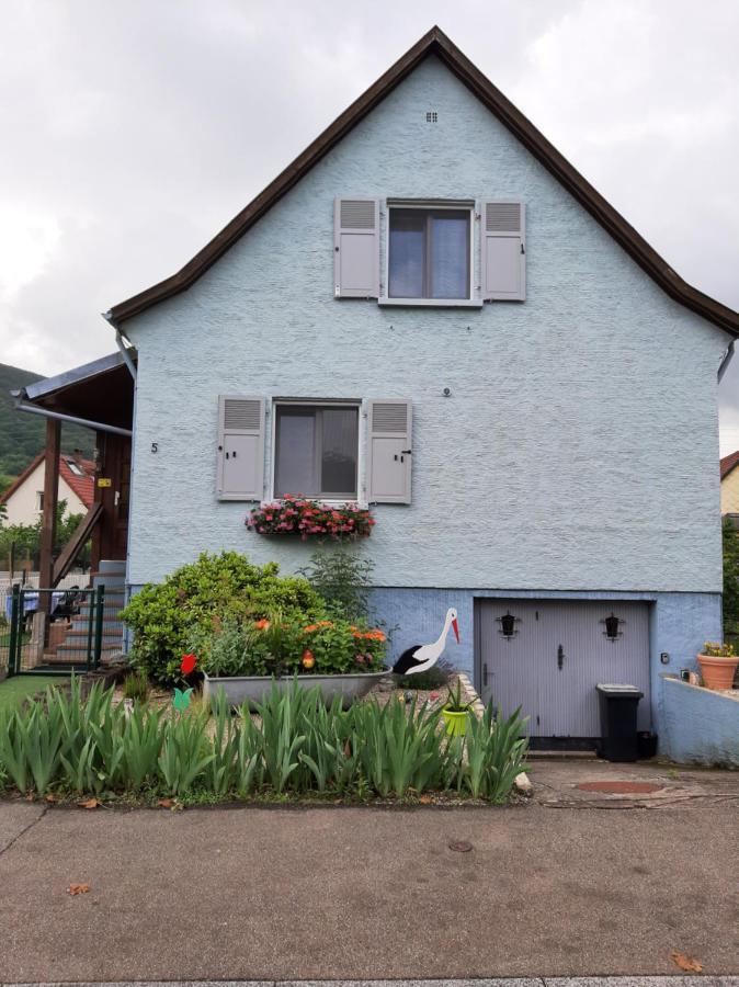 Gite Les Chiwawas D'Alsace Kaysersberg-Vignoble Exterior photo